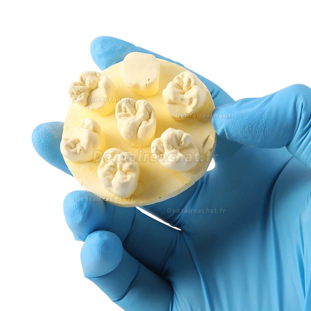 Kit de formation à la morphologie dentaire (3 pièces/sac) : modèles de positions U6/L6/U4 (gypse/résine)